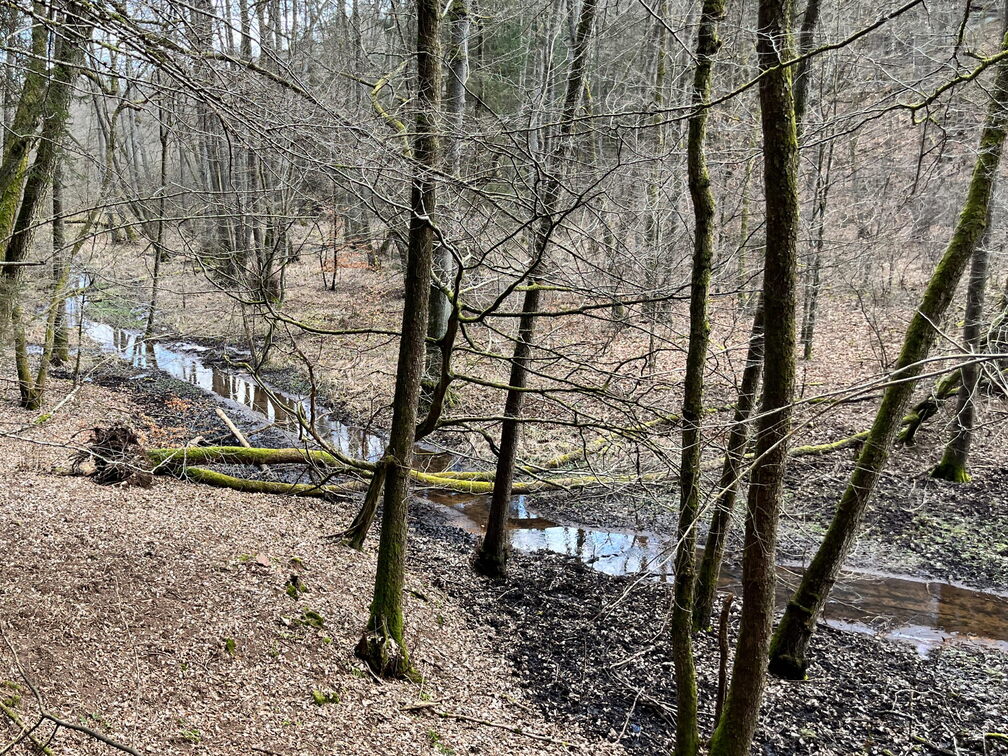 23-02-26 11-19-36 4346